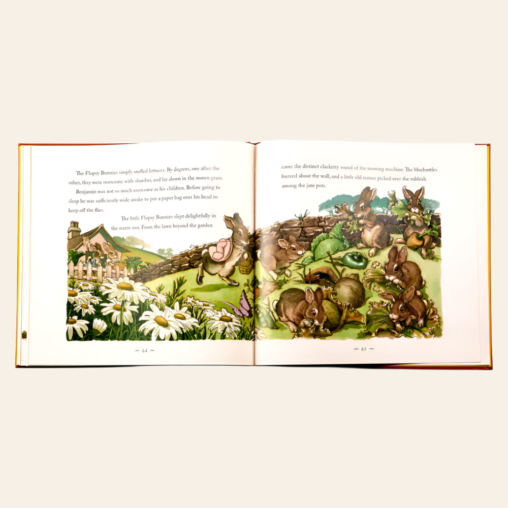 GRAPHIC IMAGE Peter Rabbit Book