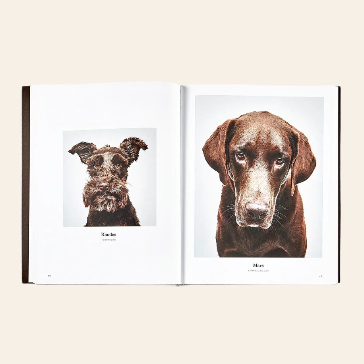 GRAPHIC IMAGE Good Dog