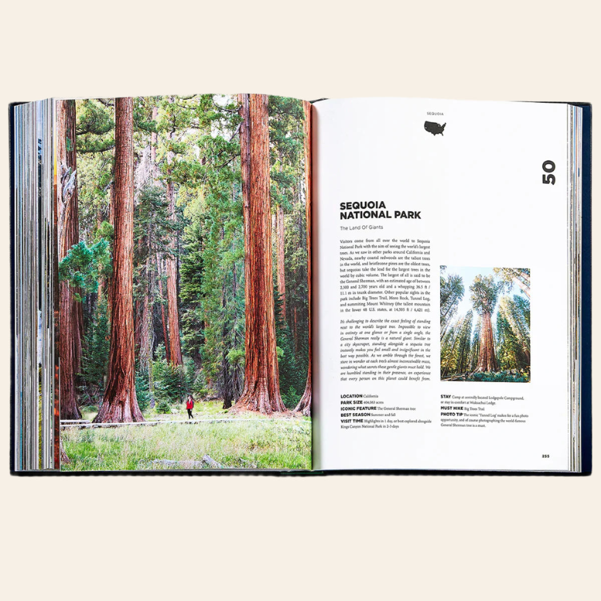 GRAPHIC IMAGE Roaming America Book