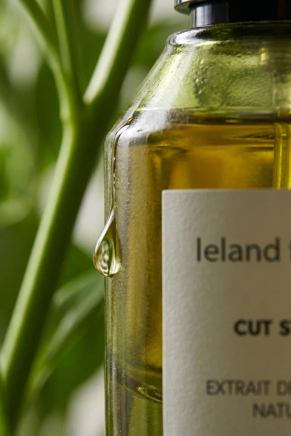 LELAND FRANCIS Cut Stems Perfume