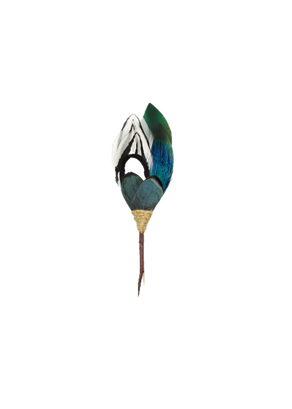 BRACKISH Asp Pin