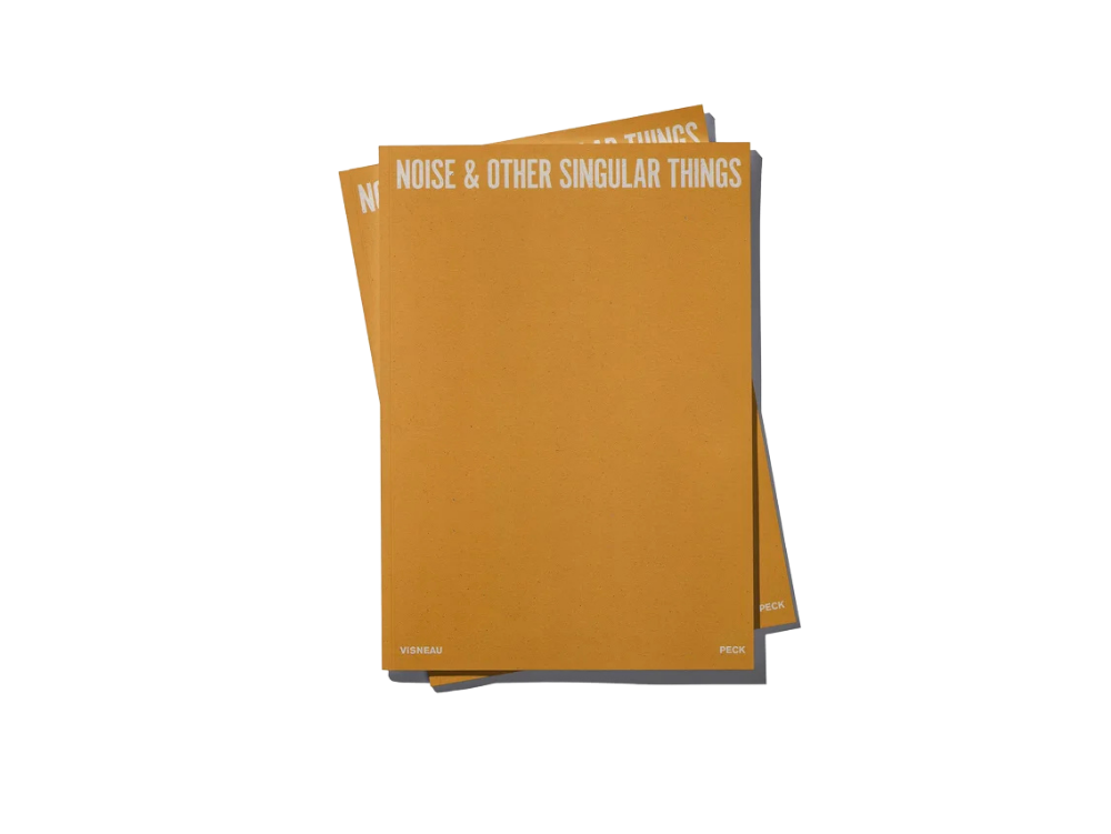 BENJI PECK Noise & Other Singular Things