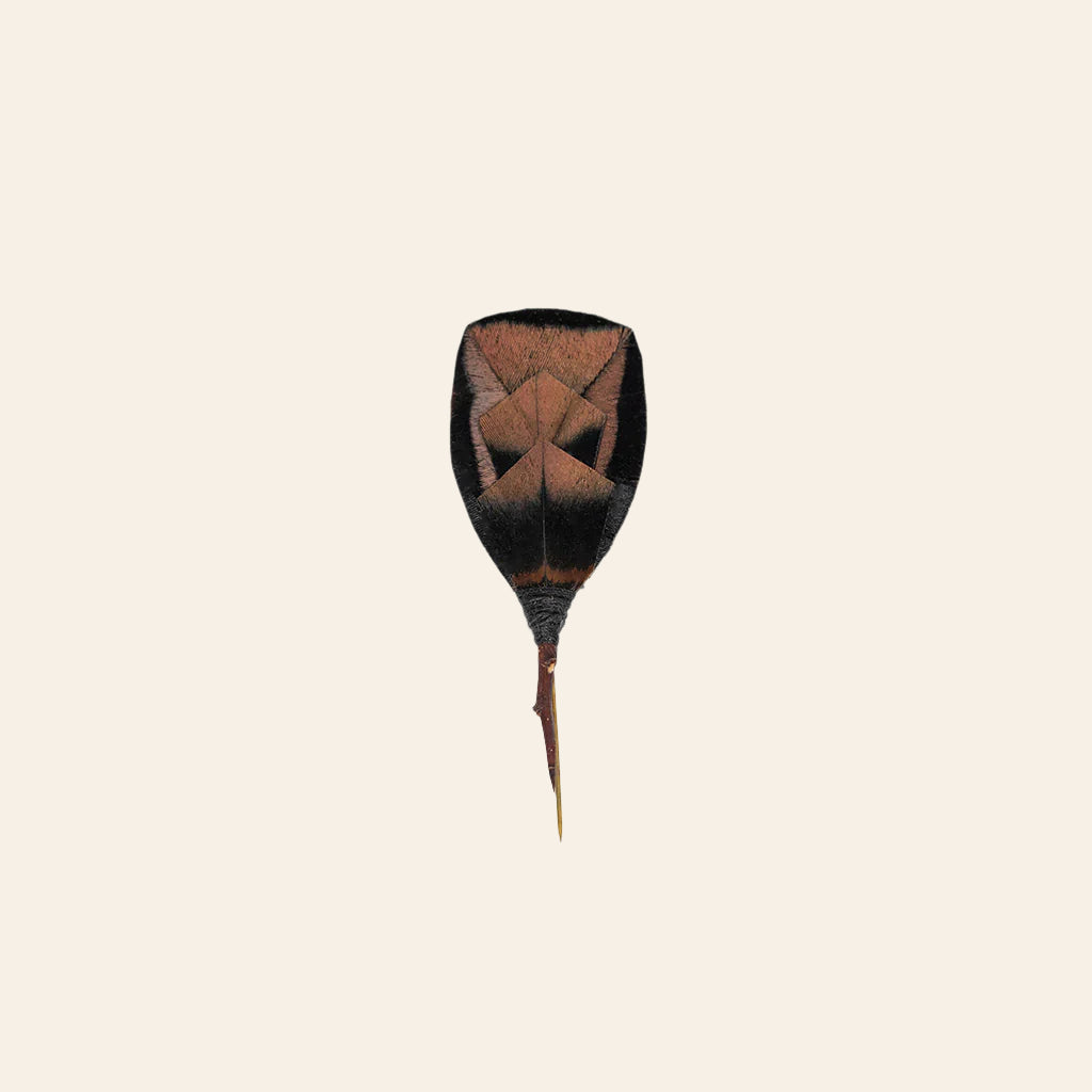 BRACKISH Donerail Pin